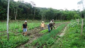 Read more about the article AMUREL convida agricultores e técnicos para seminário de Agricultura Familiar e Comercialização