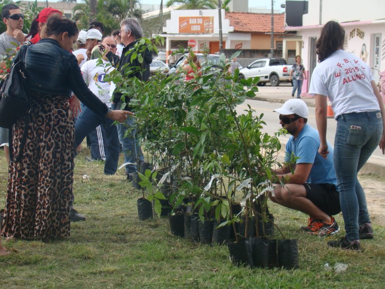 Read more about the article Moradores de Jaguaruna recebem 300 mudas nativas