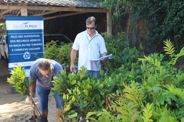 Read more about the article Comitê da Bacia entrega 2,5 mil mudas de espécies nativas municípios do Vale