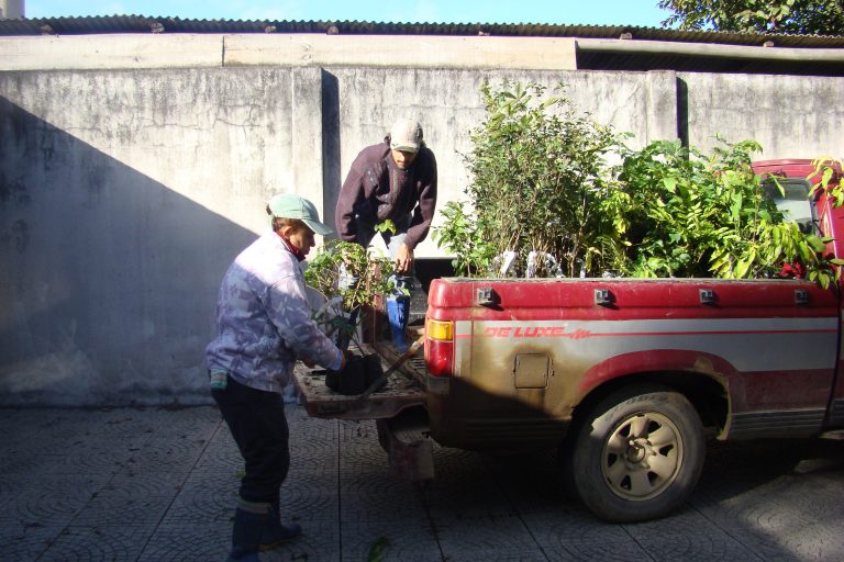 Read more about the article Gravatal e Jaguaruna são contemplados com mudas nativas