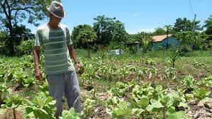 You are currently viewing Governador sanciona lei que isenta micro produtor rural de pagamento de ICMS