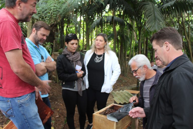 Read more about the article Grupo conhece abelhas sem ferrão e espécies poderão ser trazidas para Projeto de Educação Ambiental