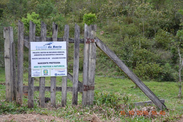 Read more about the article Comitê visita três nascentes protegidas para monitoramento ambiental