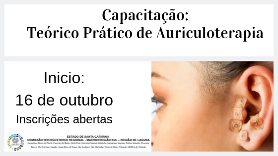 You are currently viewing Amurel oferece curso teórico-prático de auriculoterapia