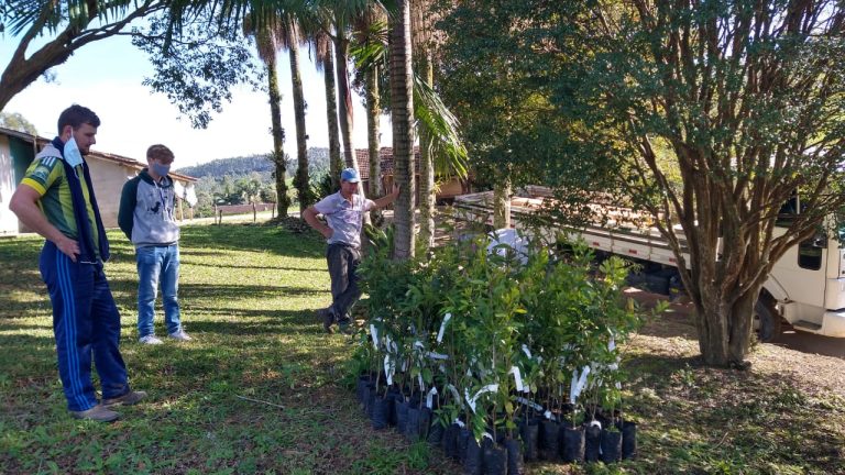 Read more about the article Quatro municípios são beneficiados com mudas nativas doadas pelo Comitê da Bacia