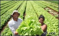 Read more about the article Municípios podem concorrer a recursos para estimular Agricultura Familiar