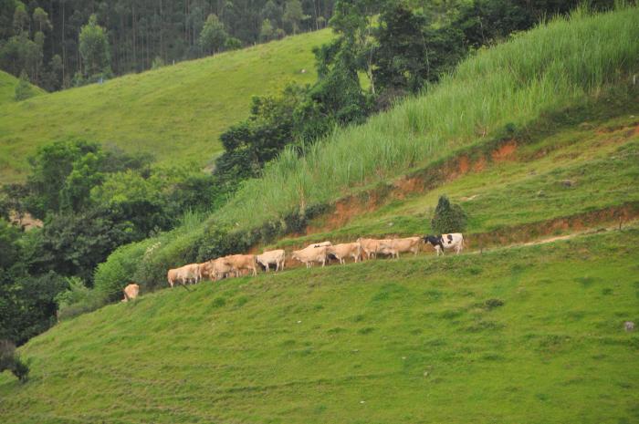 Read more about the article Seminário estadual vai reunir secretários e técnicos municipais de agricultura