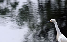 Read more about the article Boas praticas ambientais em Municípios serão premiadas e divulgadas