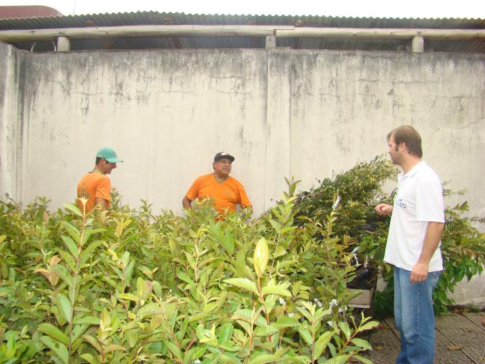 You are currently viewing Mudas para serem distribuídas aos municípios já estão na AMUREL