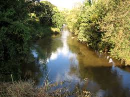 Read more about the article Como manda o Código Florestal, Cadastro Ambiental está disponível para preenchimento