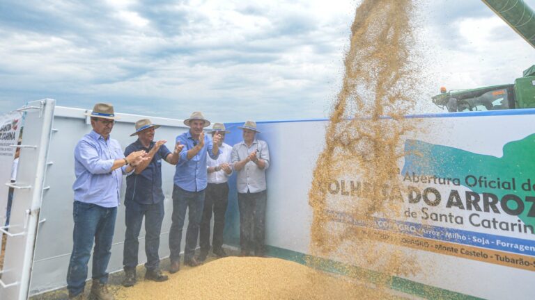 Read more about the article Abertura da Colheita do Arroz em SC acontece pela primeira vez na AMUREL